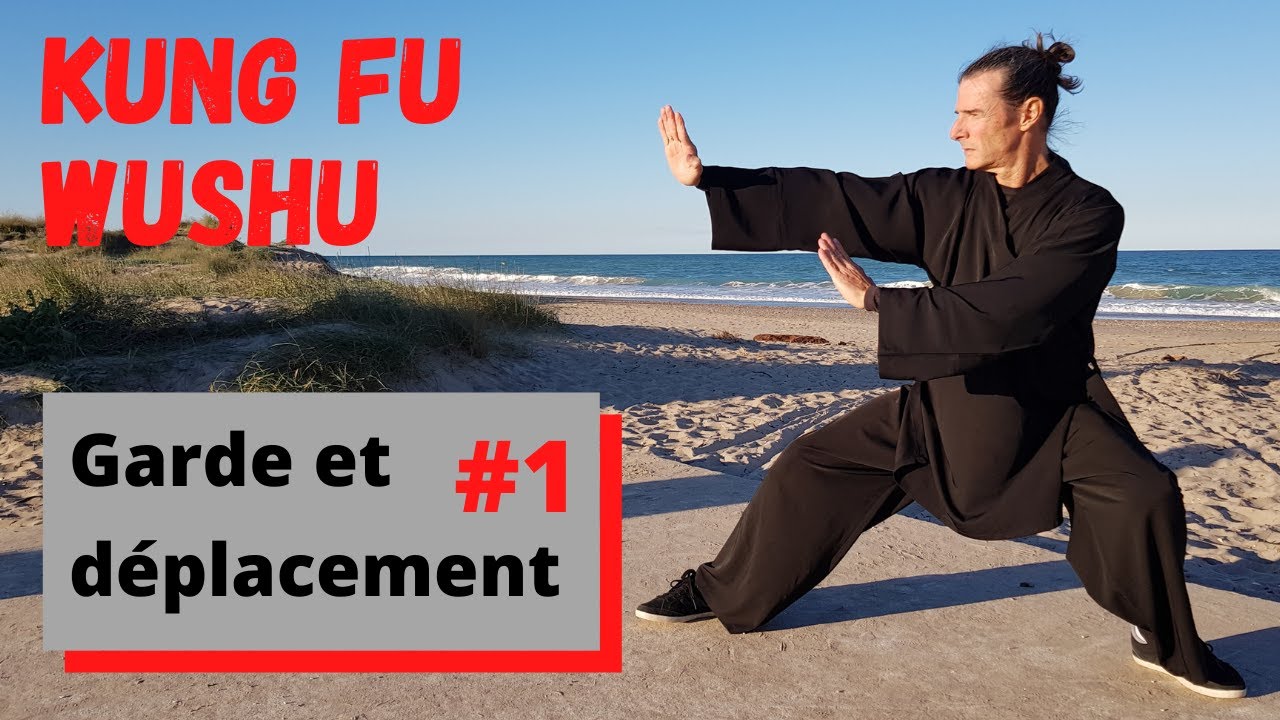 Kung fu garde et déplacement #1