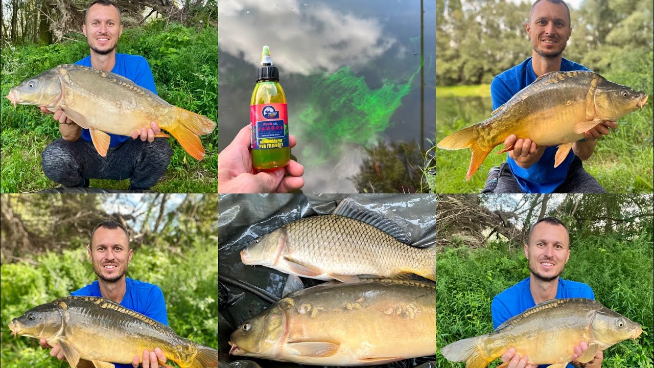 Ako zvýšiť počet záberov na METHOD FEEDER pomocou novéhom FLUO GELU