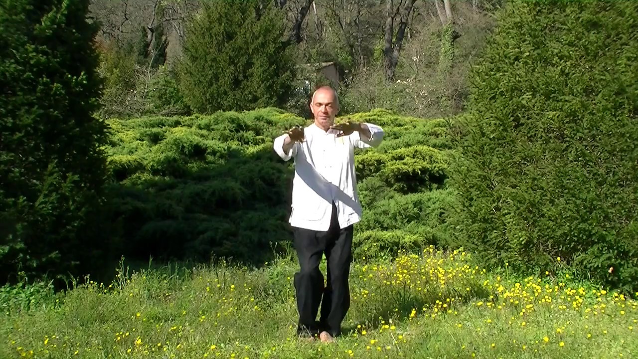 Qi Gong  Tonification générale en musique Yann Corellou