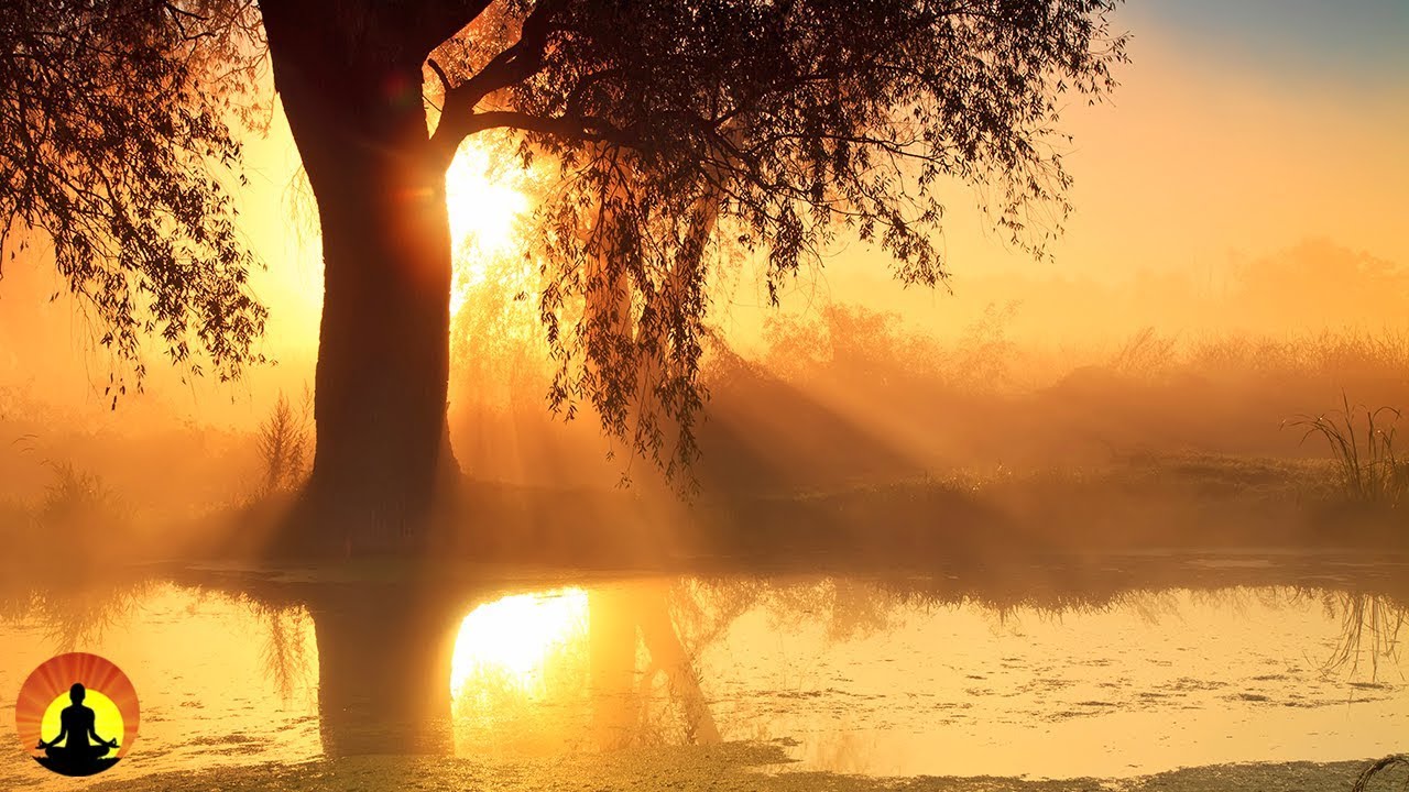 30 Minute Relaxing Sleep Music, Sleep Meditation, Calm Music, Insomnia, Relax, Study, Sleep,&nbsp;☯169B