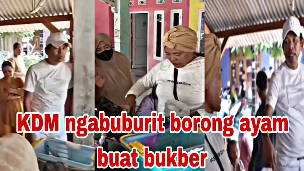 KDM ngabuburit borong ayam buat bukber #kdmterbaru #kdmhariini