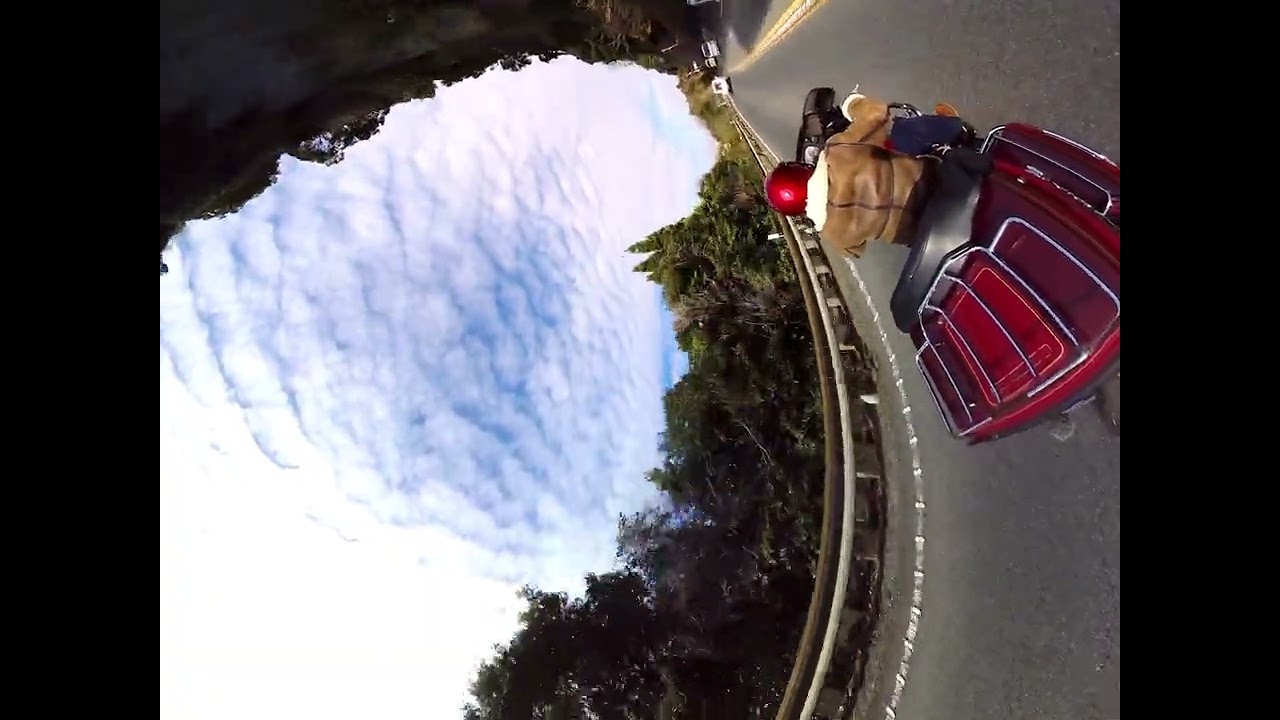 バイク初乗り　テスト
