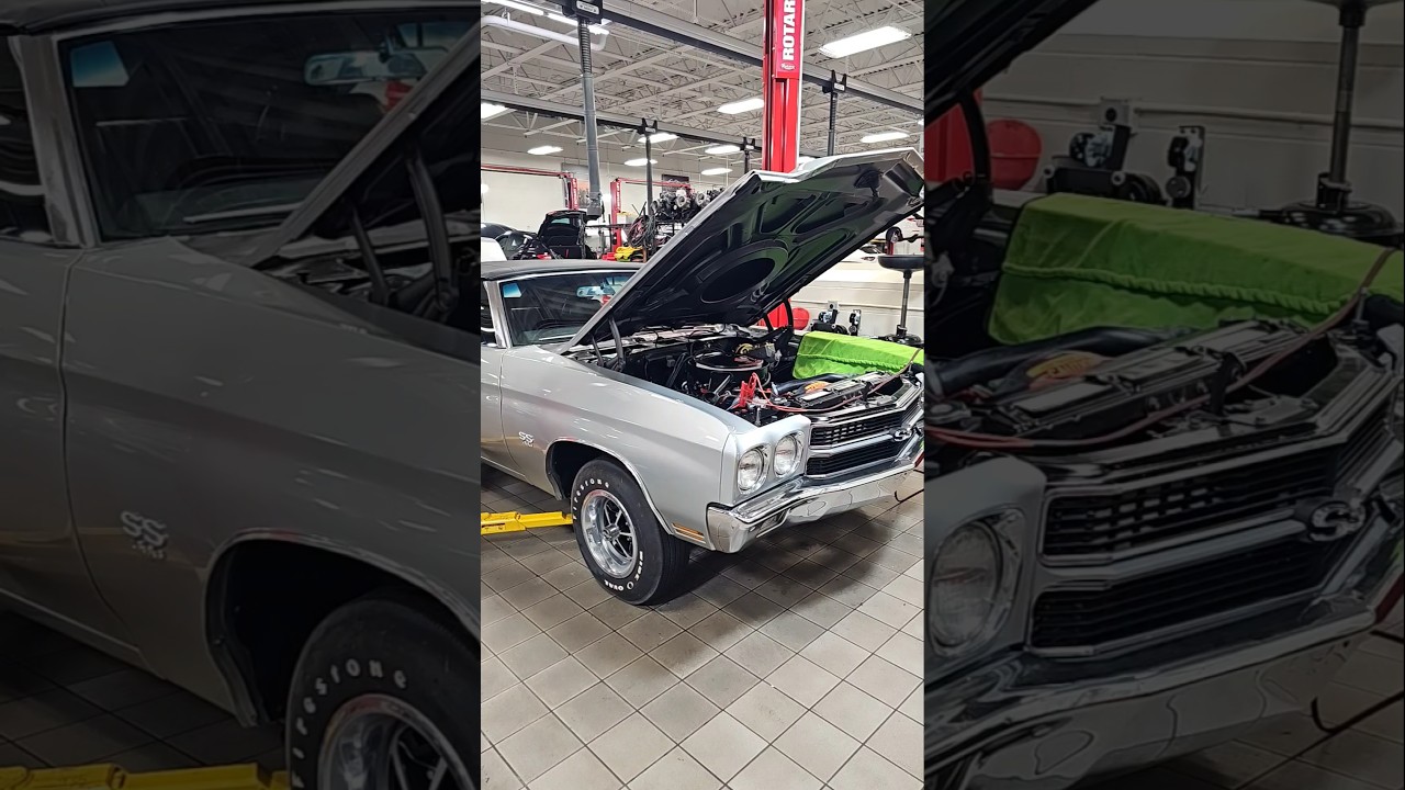 New arrivals. 70 Chevelle SS vert 396/4speed frame off, and 66 Chevelle SS 396/4speed clean driver 👍
