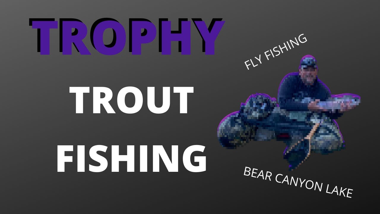Monster Rainbow Trout - Fly Fishing Catch and Release in Arizona - Trophy Lake Record?? Maybe