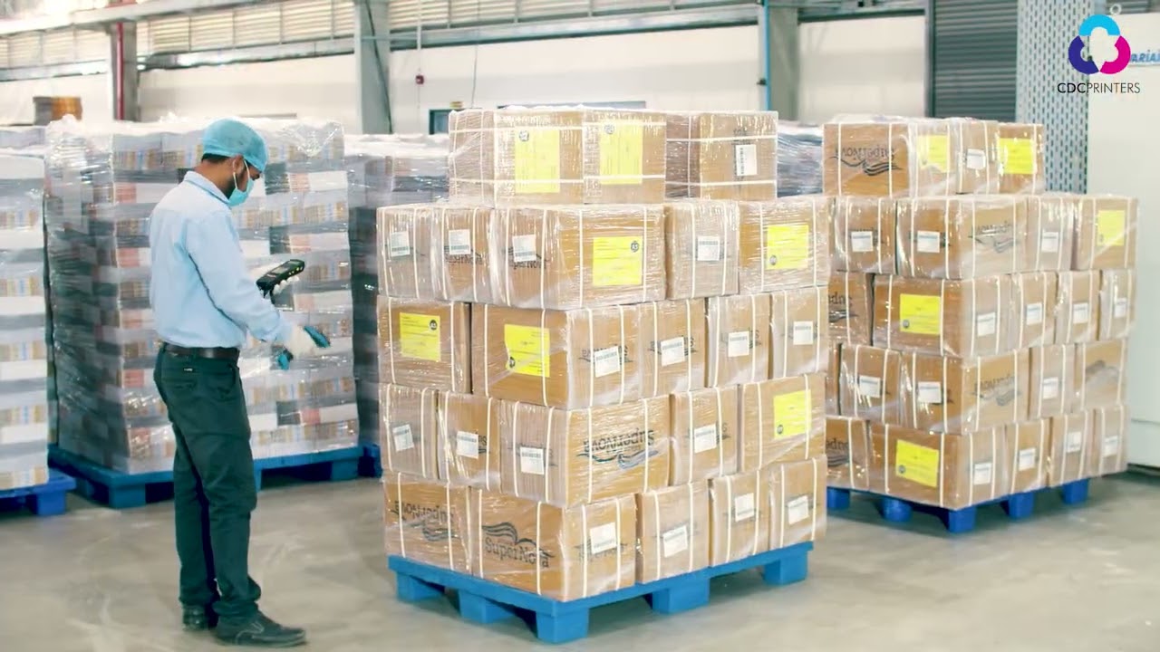 CDC Printers Ahmedabad Factory Walkthrough