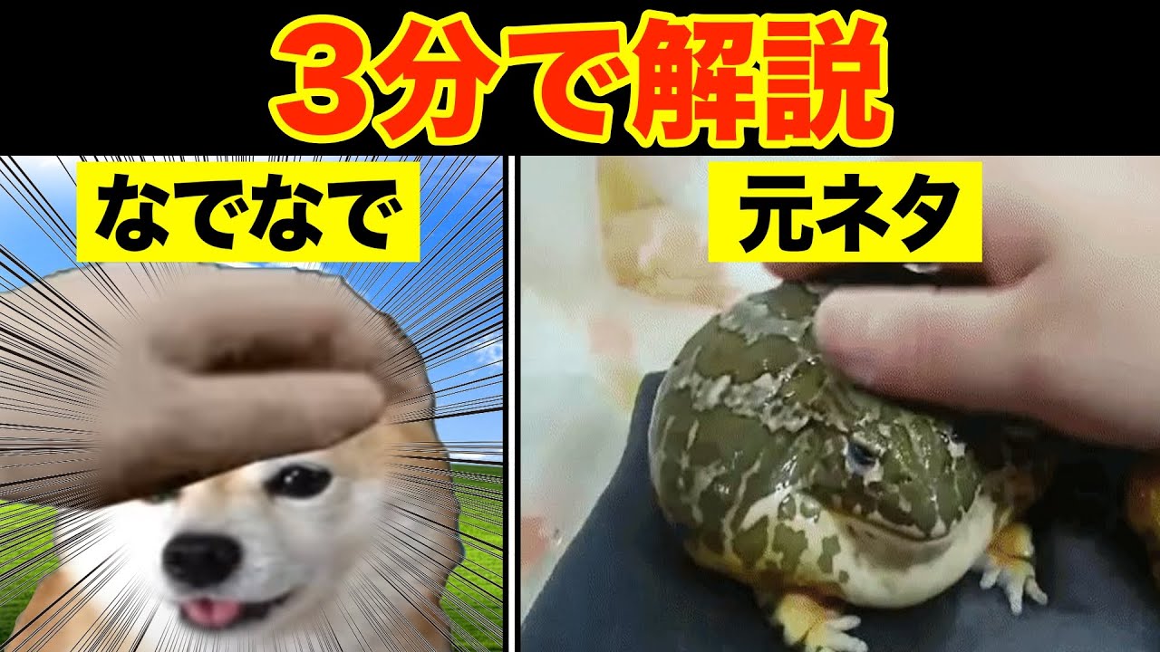 【なでなで】Pet the Xの元ネタとは？【海外ミーム解説】