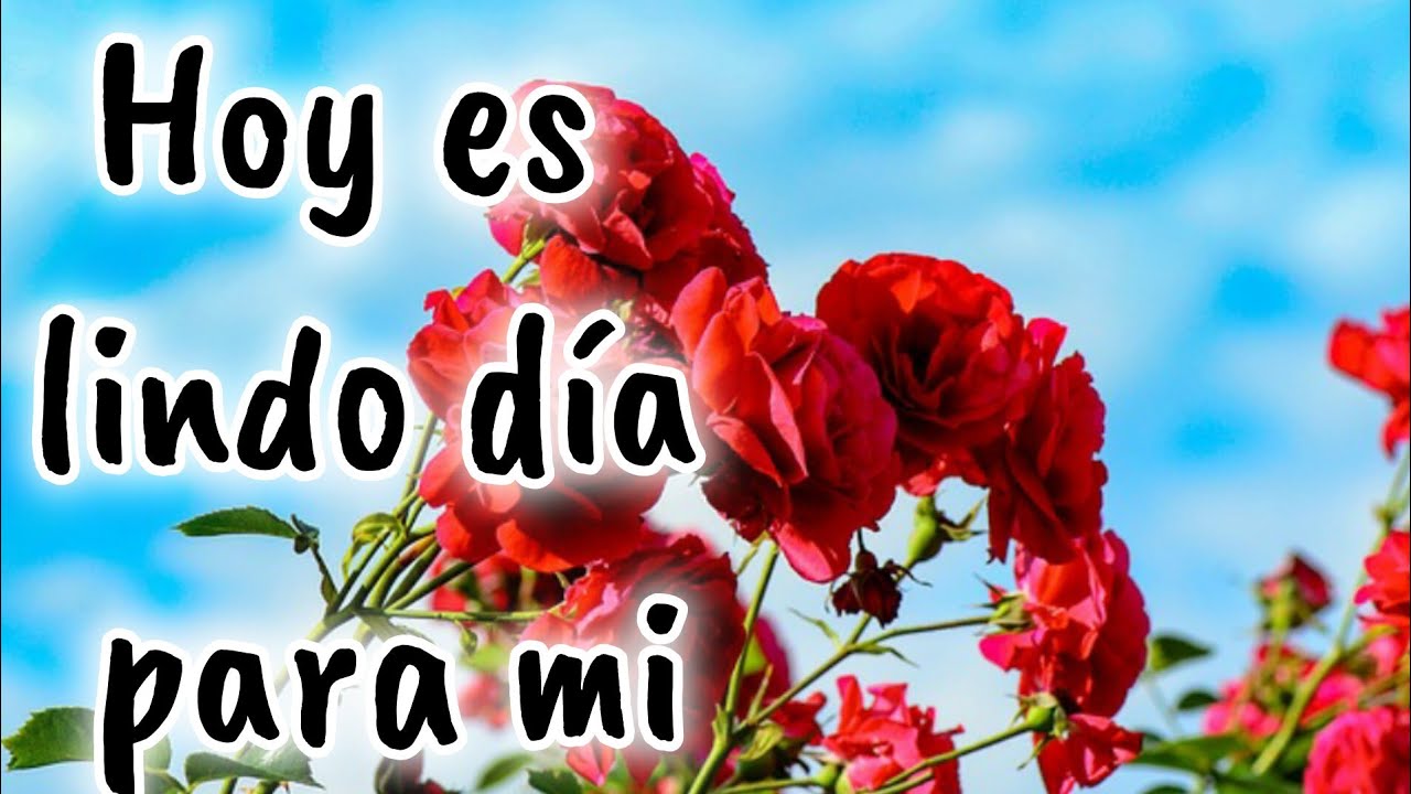 Hoy es lindo día para mi