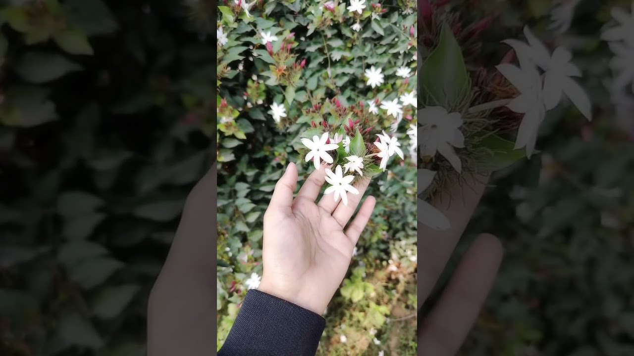 GSD ORGANICS Call us for vermicompost 9034344100, 9034344200