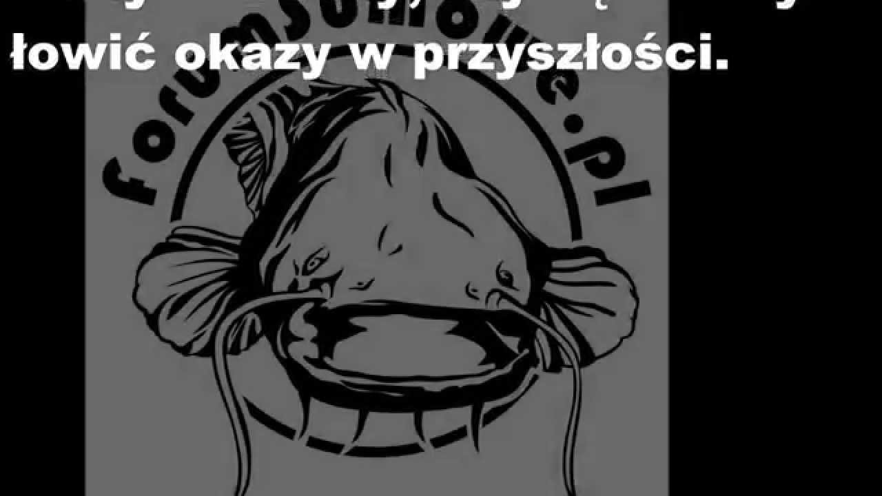 Przepis na suma po cygańsku