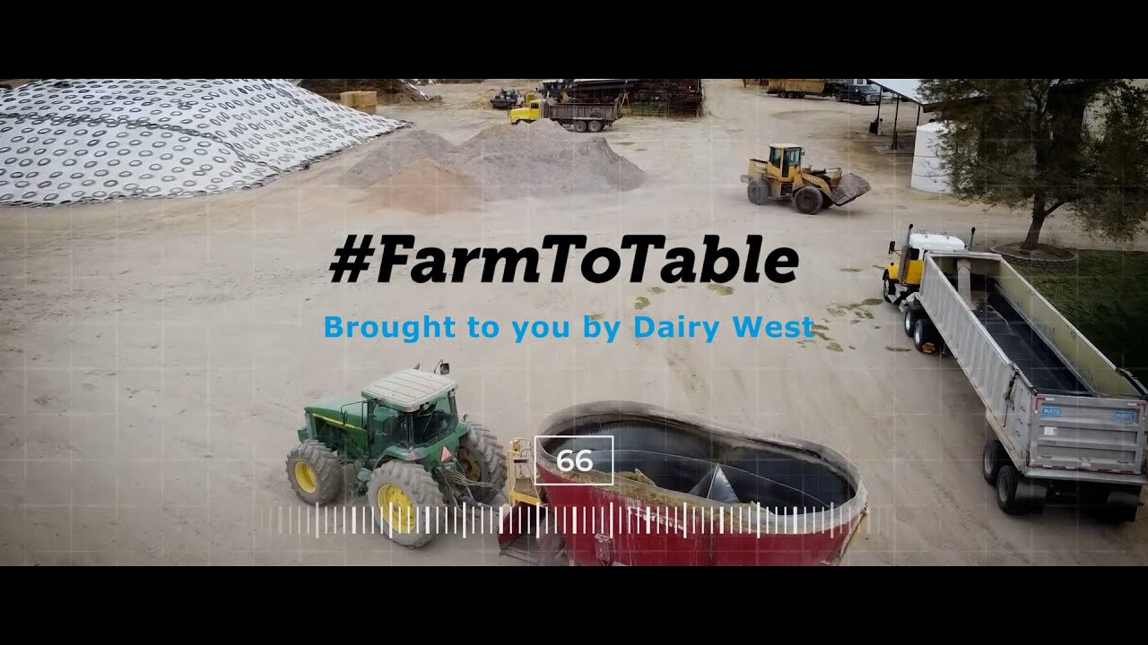 Here's what Dairies are REALLY like with REAL Idaho & Utah Dairy Farmers
