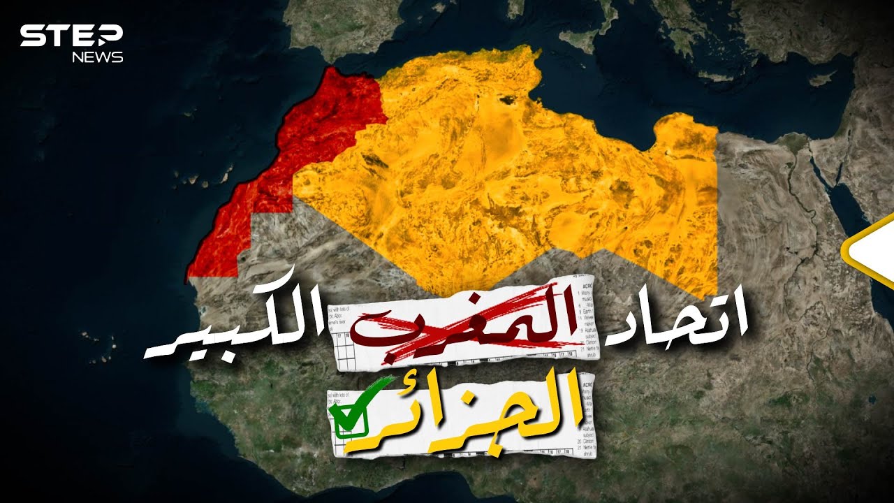 تحالف 