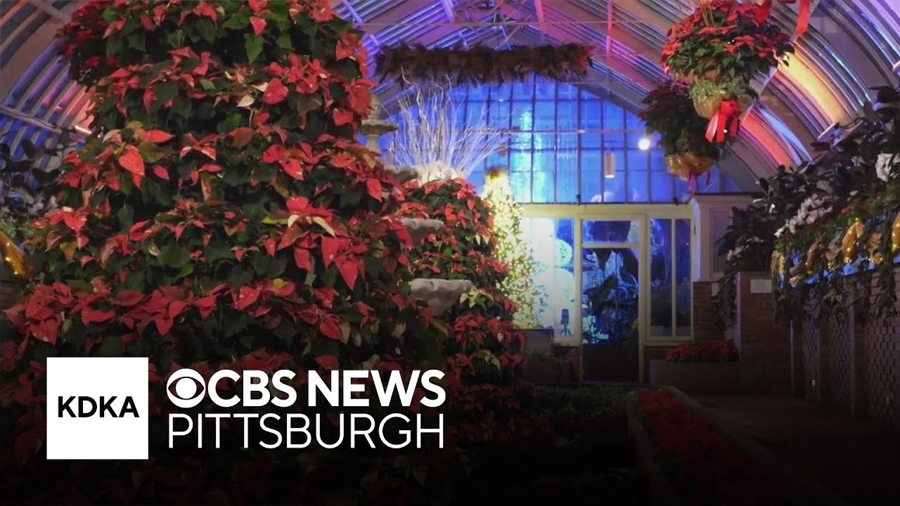 Your guide to Pittsburgh's holiday lights