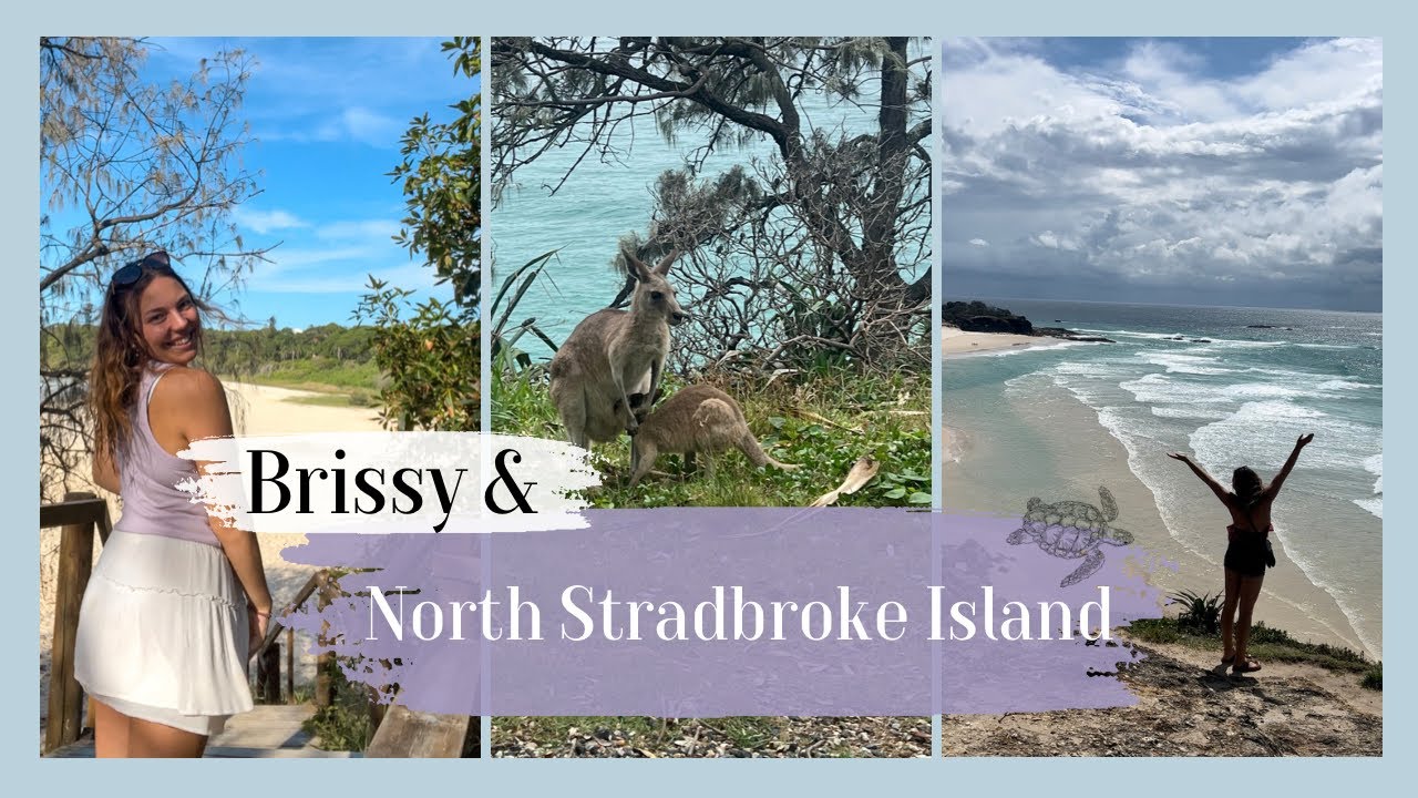BRISSY and NORTH STRADBROKE ISLAND🇦🇺🐬 //Aupair in Australien