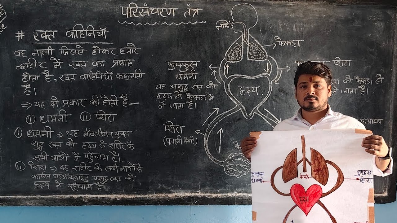 रक्त परिसंचरण तंत्र(blood circulation system) बिल्कुल आसान भाषा में 👍👍