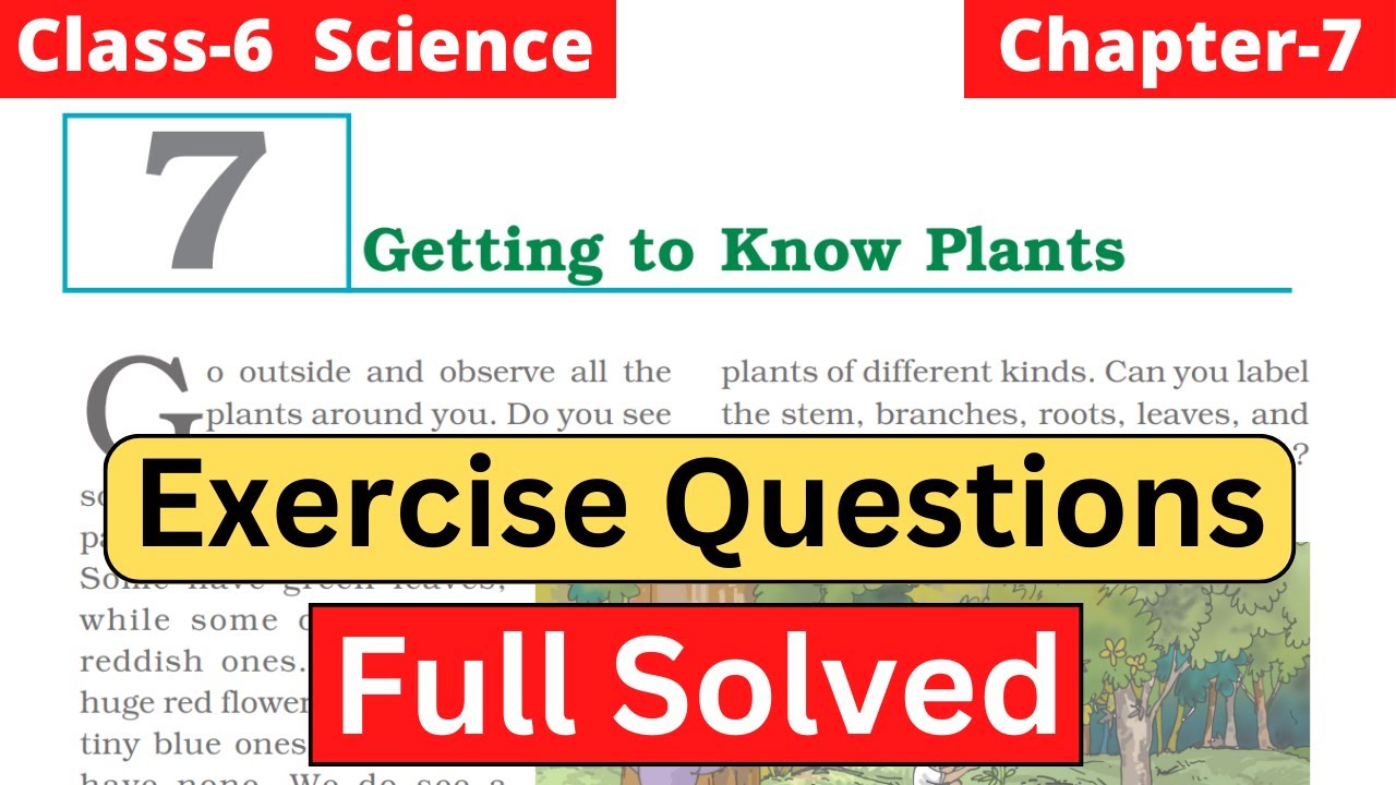 Exercise solution Class 6 Science Chapter 7 | Getting to Know Plants