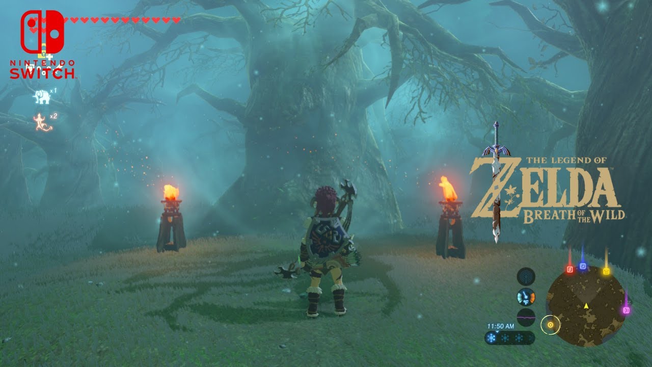 Zelda BOTW: Sejam Nyasar di Lost Woods & TETAP GAGAL! 😭