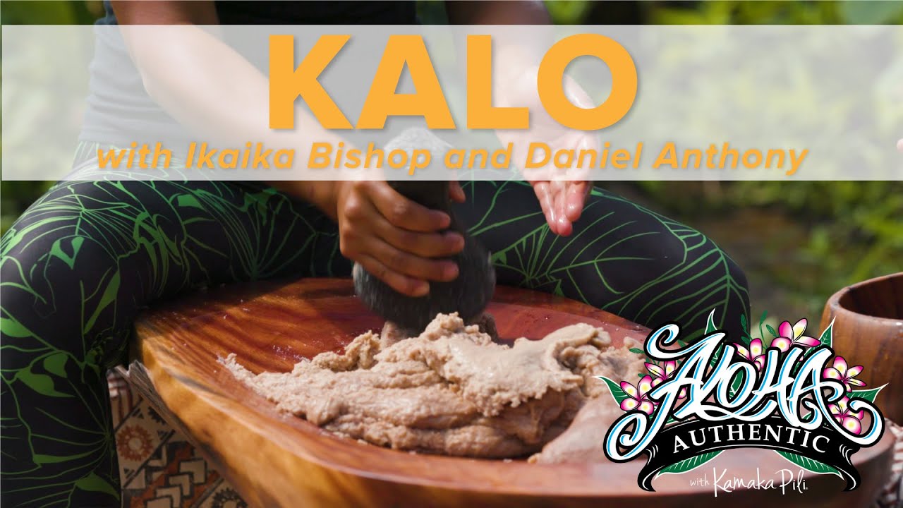 Kalo | Aloha Authentic Episode 12