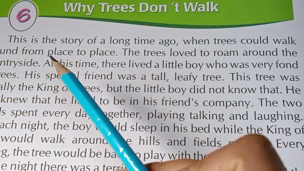 Why Trees Don't Walk  - Reading English Stories For Kids 