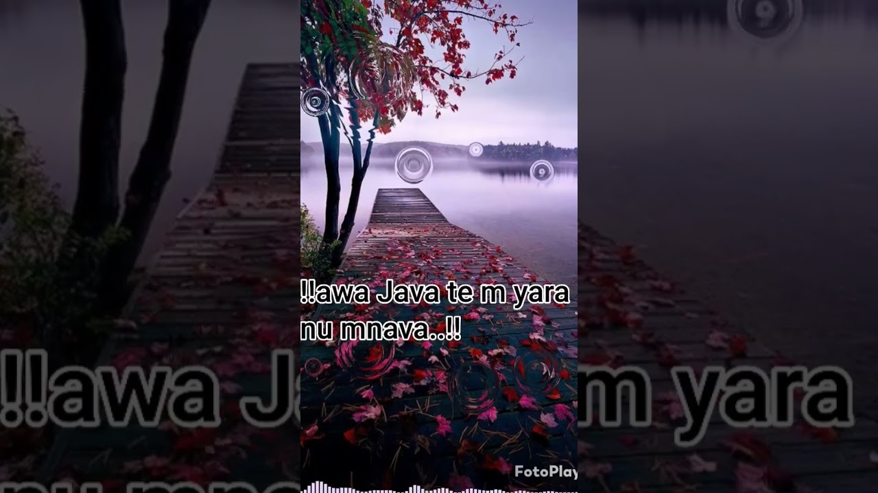 feel the song..♥️