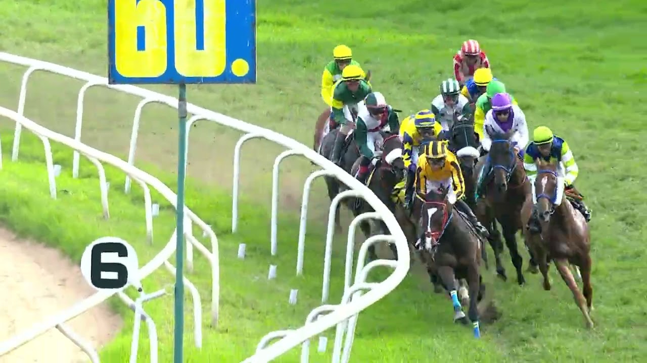 BEZAWADA SULTAN : THE LEADING OWNER CUP (173)