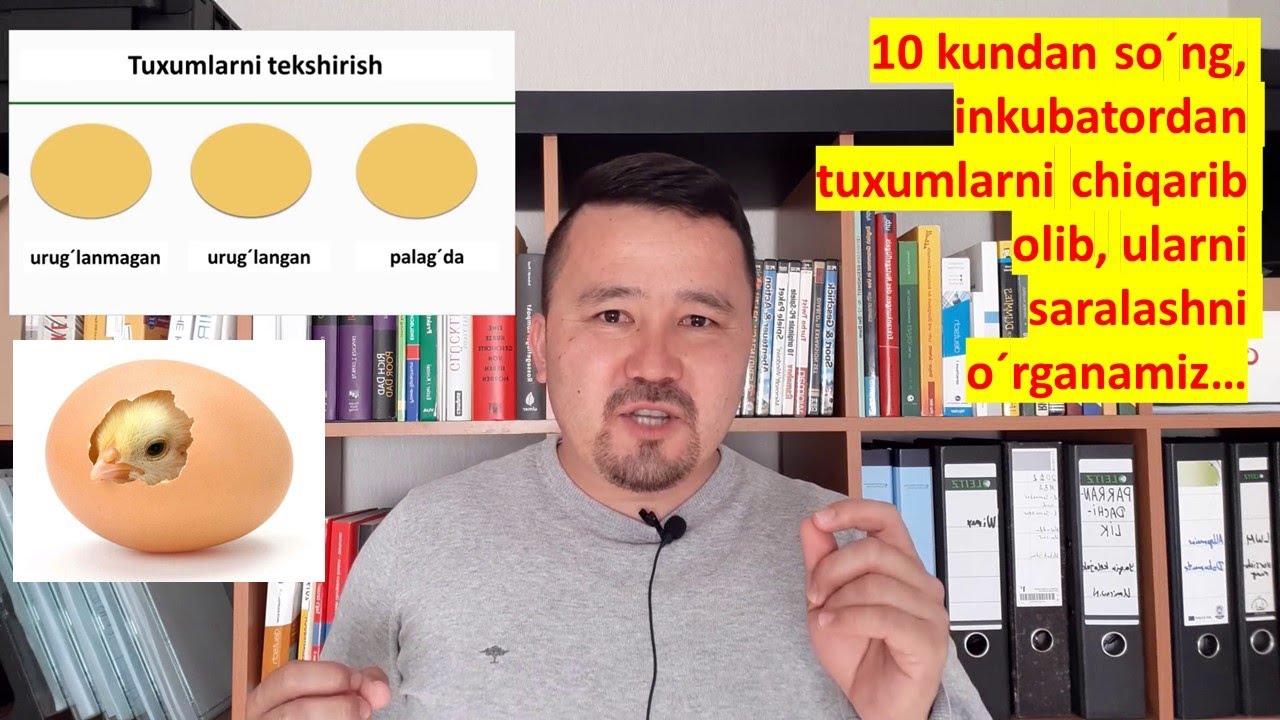9-Qism. Inkubatordagi tuxumlarni, 10 kundan so´ng saralash....