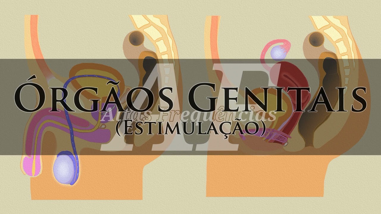 &Oacute;g&atilde;os Genitais (estimula&ccedil;&atilde;o) | Canal: Altas Frequ&ecirc;ncias