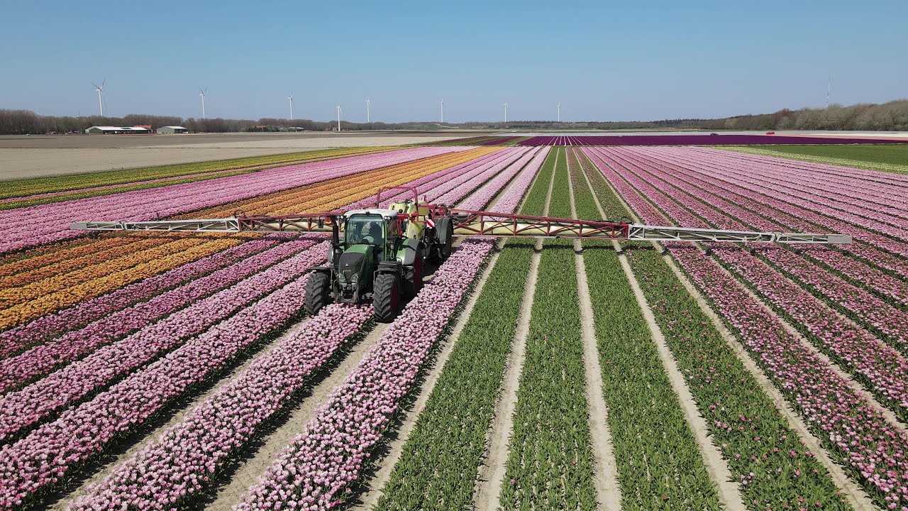 Fendt 722 Vario and 36 mtr. Hardi Commander 4500 spraying tulip fields with Twin Force air support