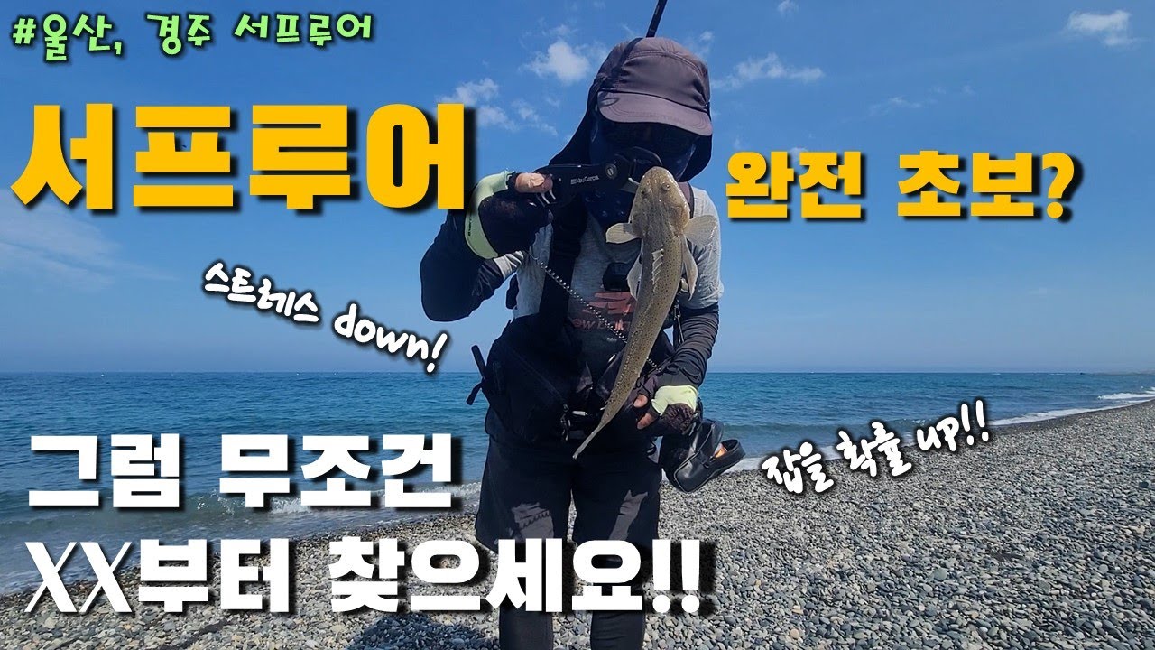 서프루어 초보자분들... 꽝안치려면 이것부터. 분명 손맛 보실꺼에요~!! #낚시 #fishing #koreafishing #양태 #메퉁이 #경주낚시 #울산낚시 #방어