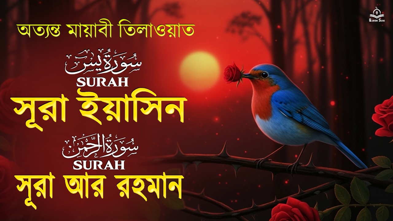 সূরা ইয়াসীন ( سورة يس) সূরা আর রহমান(الرحمن) অন্তর শীতল করা কন্ঠে, ক্যারি আলা আকেল ভাইরাল তিলাওয়াত