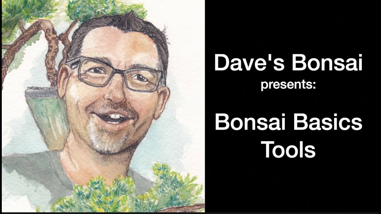 Основы бонсай - Инструменты