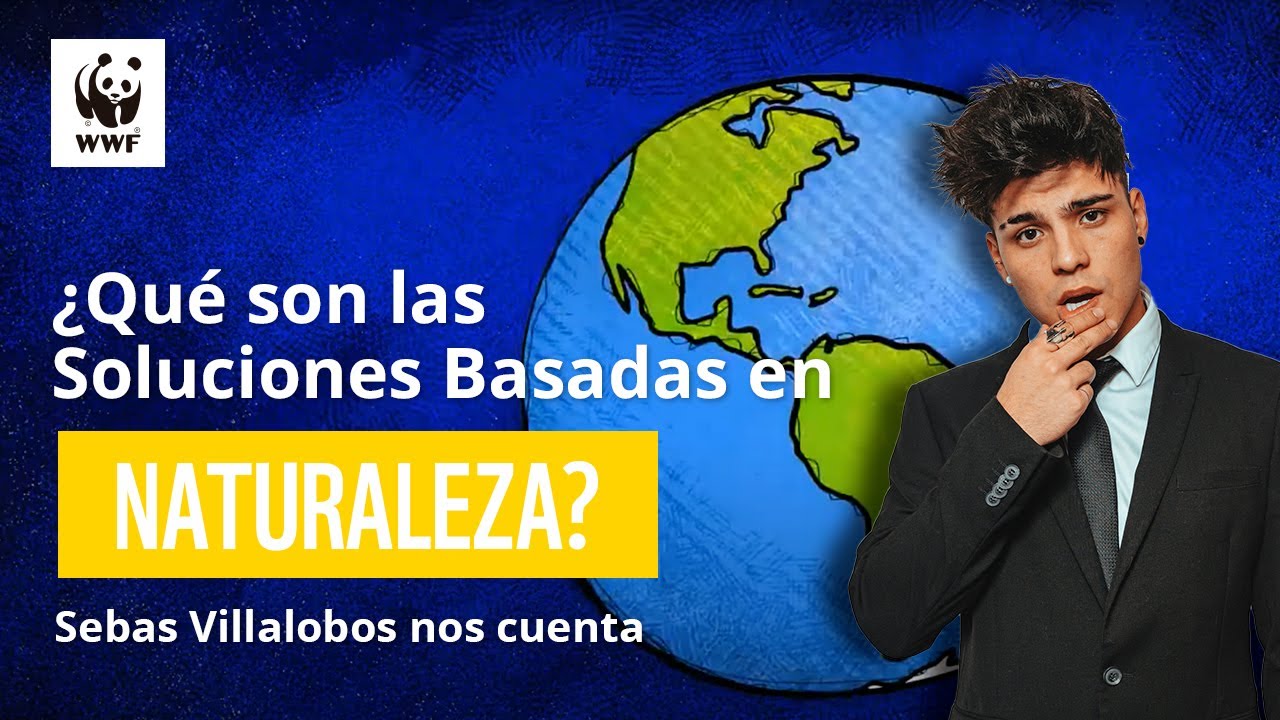 Sebastián Villalobos nos cuenta ¿Qué son las Soluciones Basadas en Naturaleza? | WWF Colombia