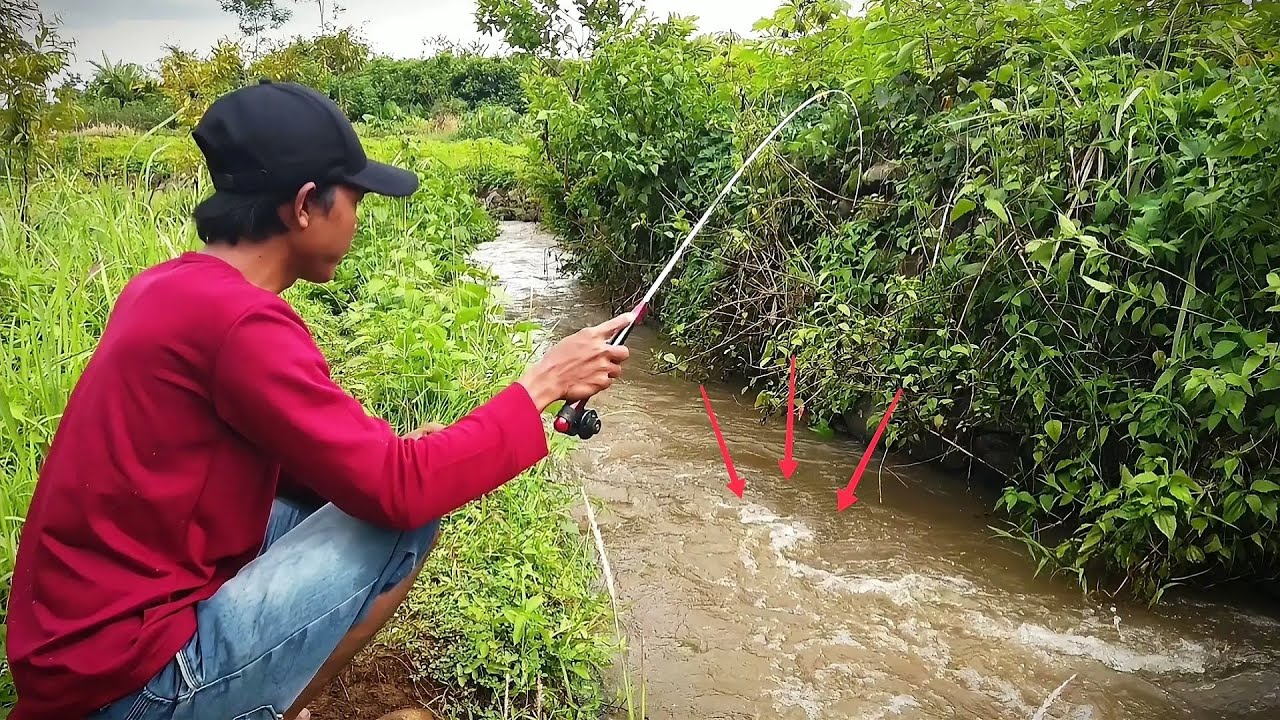 Sensasi Joran Fiber Lentur Untuk Mancing di Selokan 