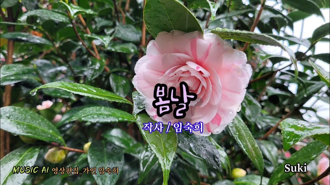봄날 | #감성 #시노래 #ai노래 #제주도 #가인임숙희 #봄 