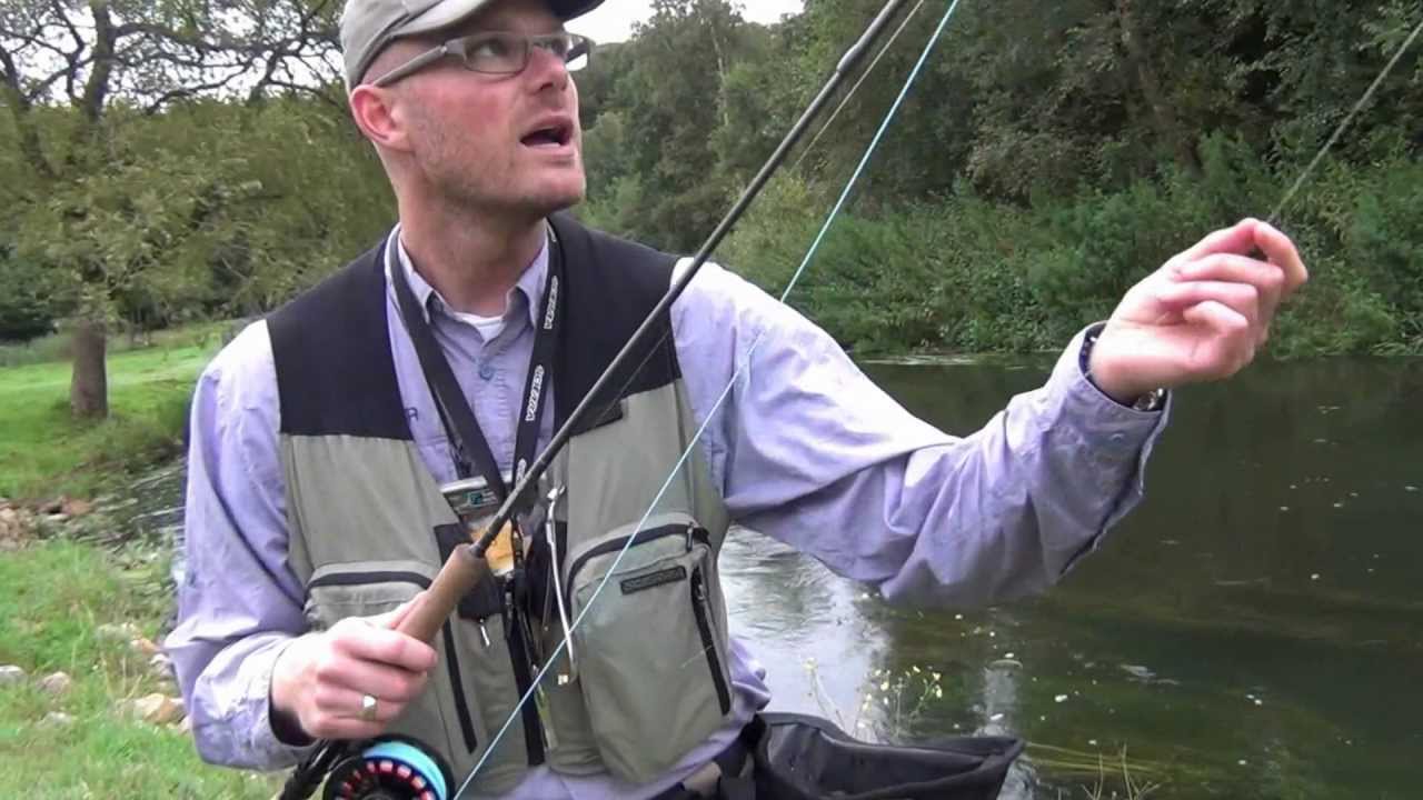 Scierra zonker
