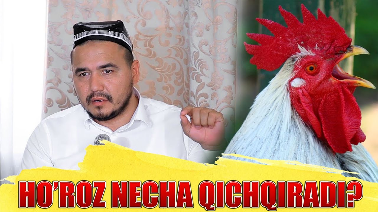Шукурилло домла-Хуроз нега кичкиради?