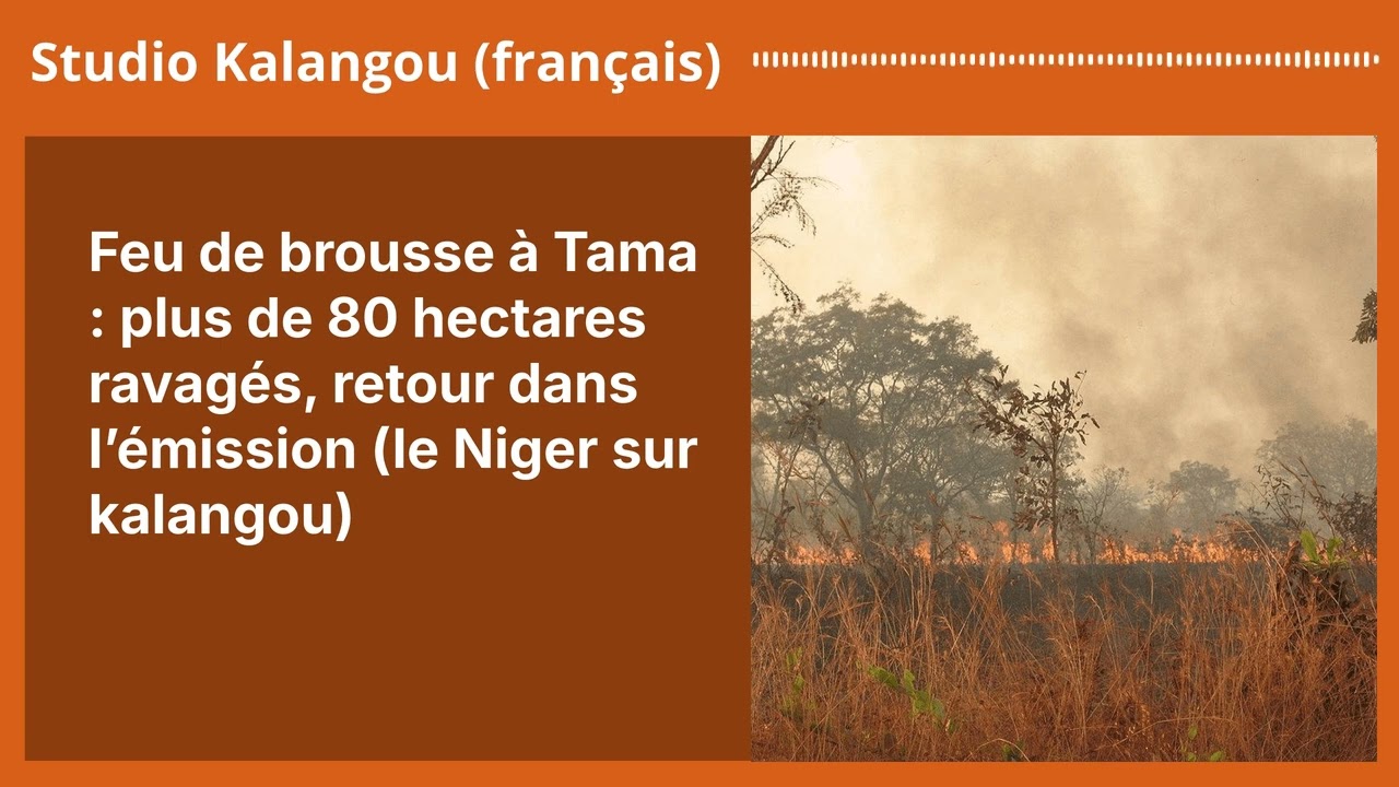 Feu de brousse à Tama : plus de 80 hectares ravagés, retour dans l’émission (le Niger sur...