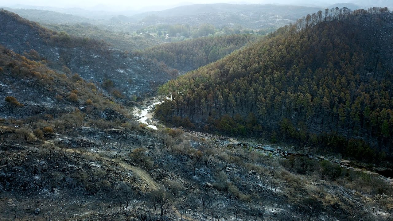 ¿Por qué hay tantos incendios en Córdoba?