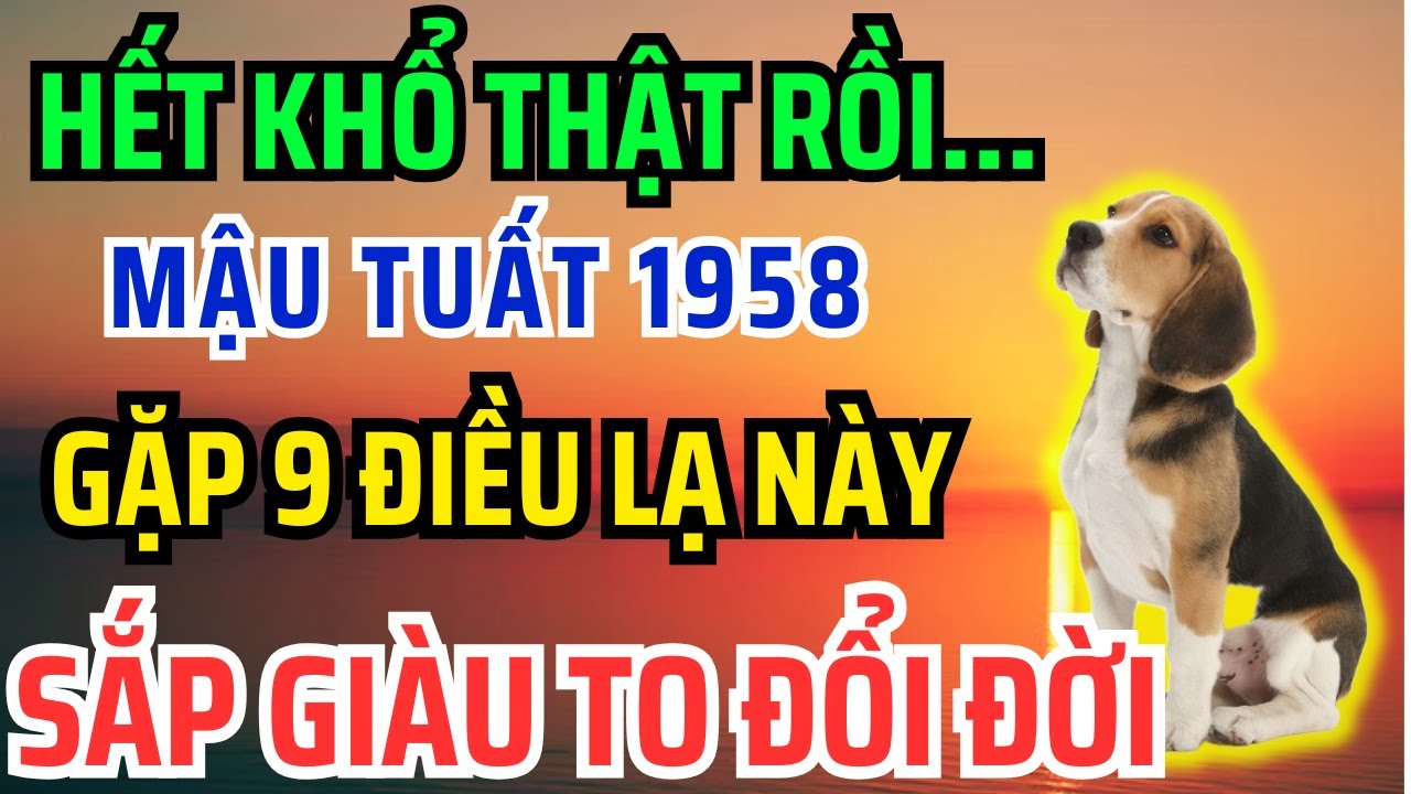 Giật mình Tuổi Mậu Tuất 1958 SẮP GIÀU TO, Nhận Phước Trời Ban thường gặp 9 Chuyện Kỳ Lạ Này!