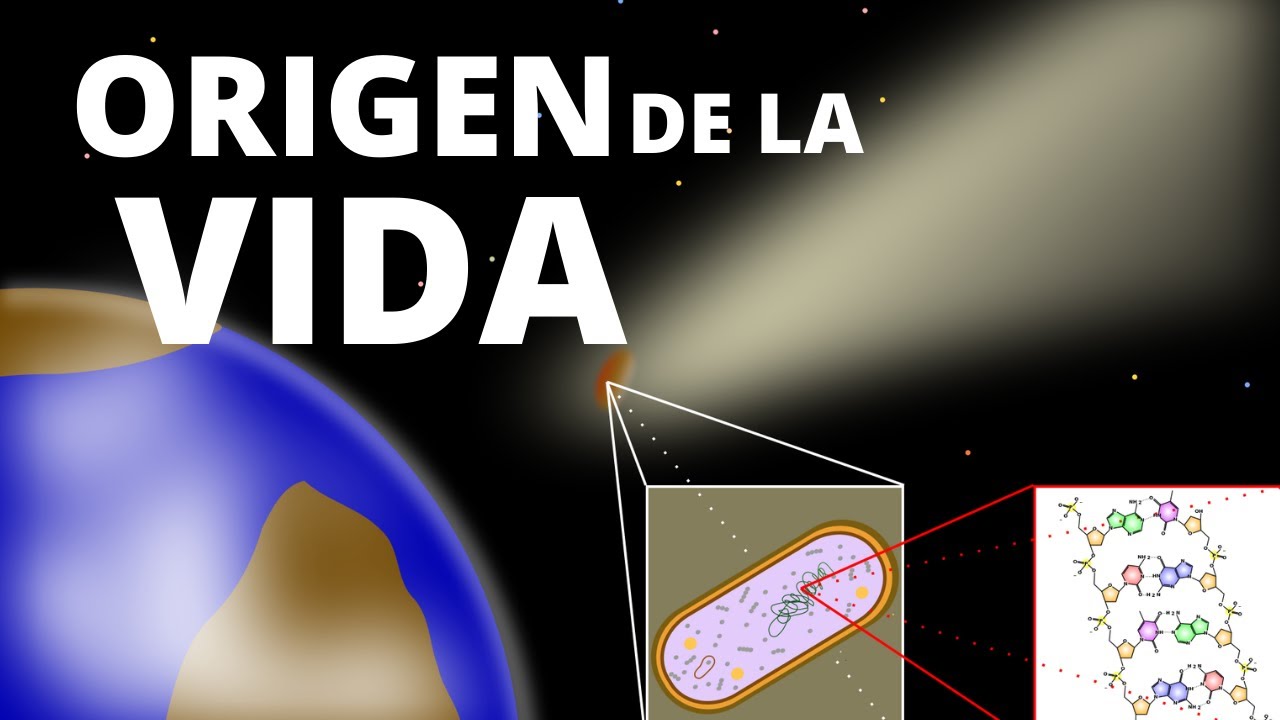 10 teorías del origen de la vida (fácil de entender). Biología🦠