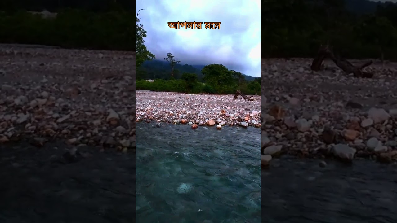 #BHUTIABOSTI | #DOOARS | #offbeatnorthbengal | #jayanti  #dooars #travel #jaldapara