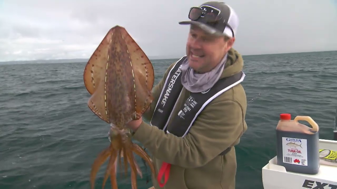 IFISHTV — ловля кальмаров и сарганов в Гастингсе