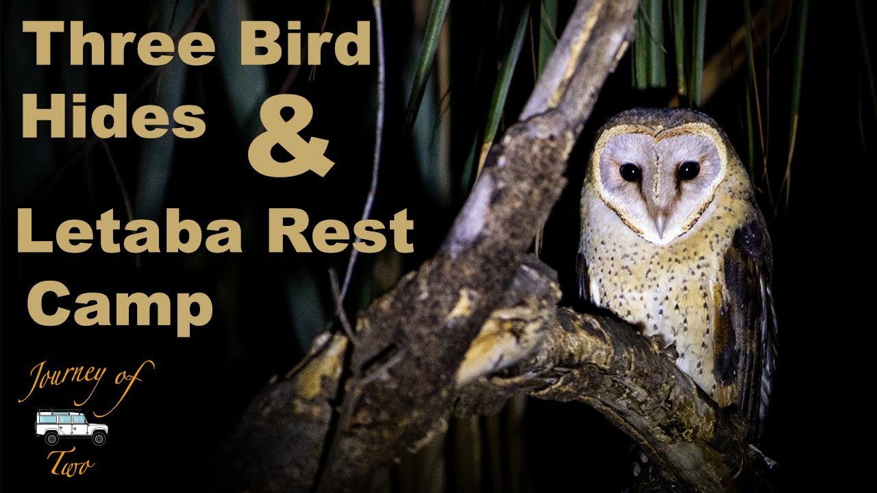 Bird Hides & Letaba [Feat. Leopard Kill] // Kruger National Park