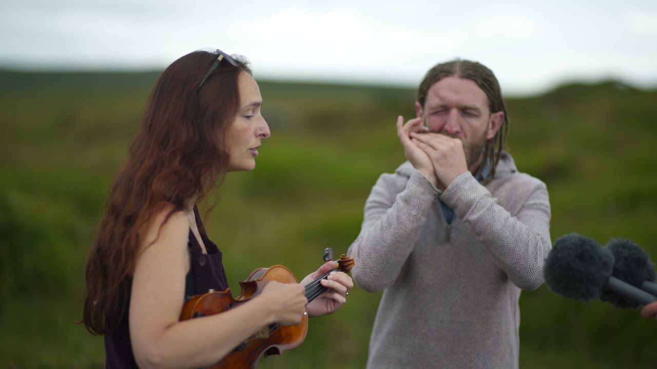 Edgelarks at Scorhill Stone Circle
