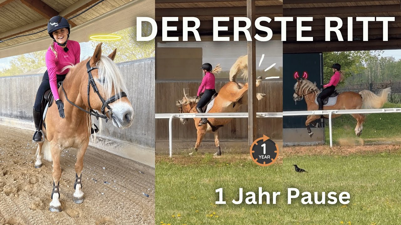 Der ERSTE RITT auf SAM nach EINEM JAHR PAUSE