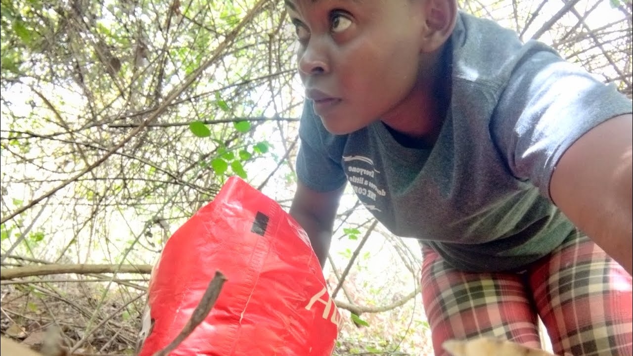 AFRICAN FOREST  SURVIVAL///MAGGY