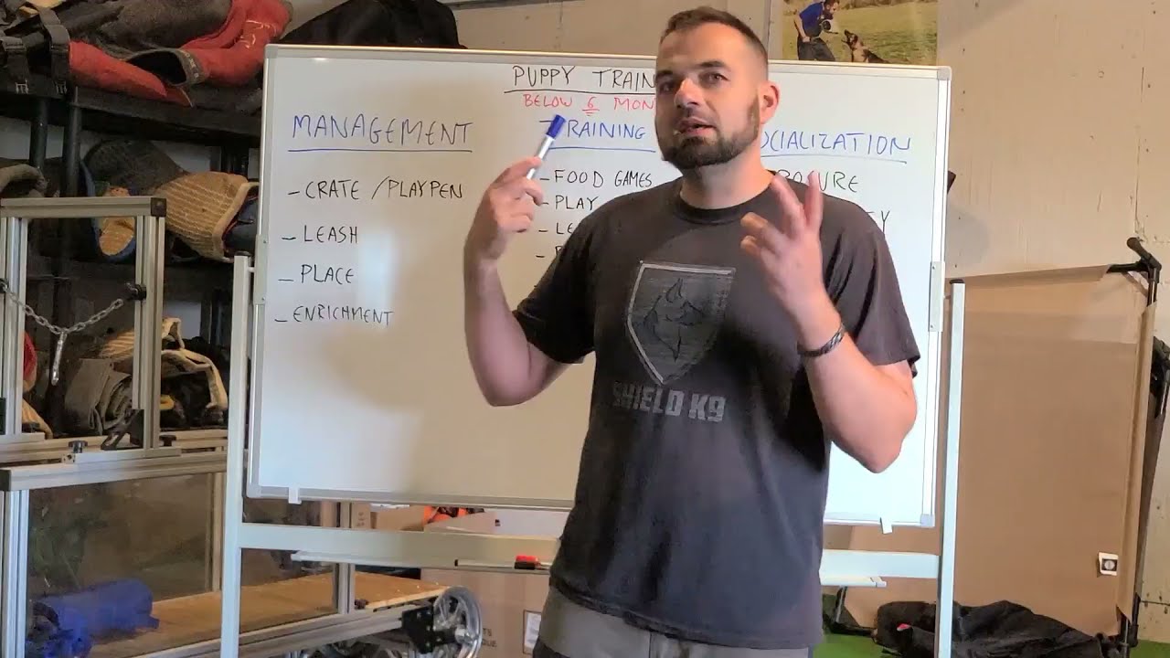 Raising a Working puppy in the house? #dogtraining #dogbehavior #puppytraining