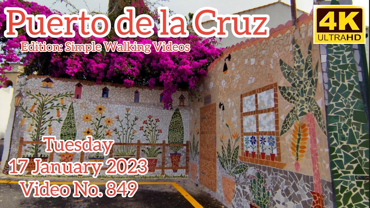 TENERIFE 🏝️ Puerto de la Cruz Canary Islands 17 January 2023 Teneriffa Kanarische Inseln Canarias