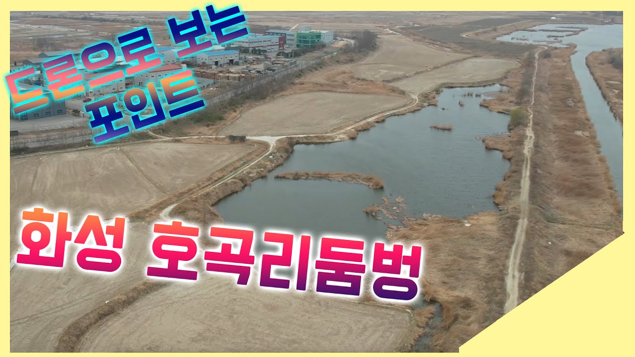 화성 호곡리둠벙 낚시포인트 드론영상 / 주소공개