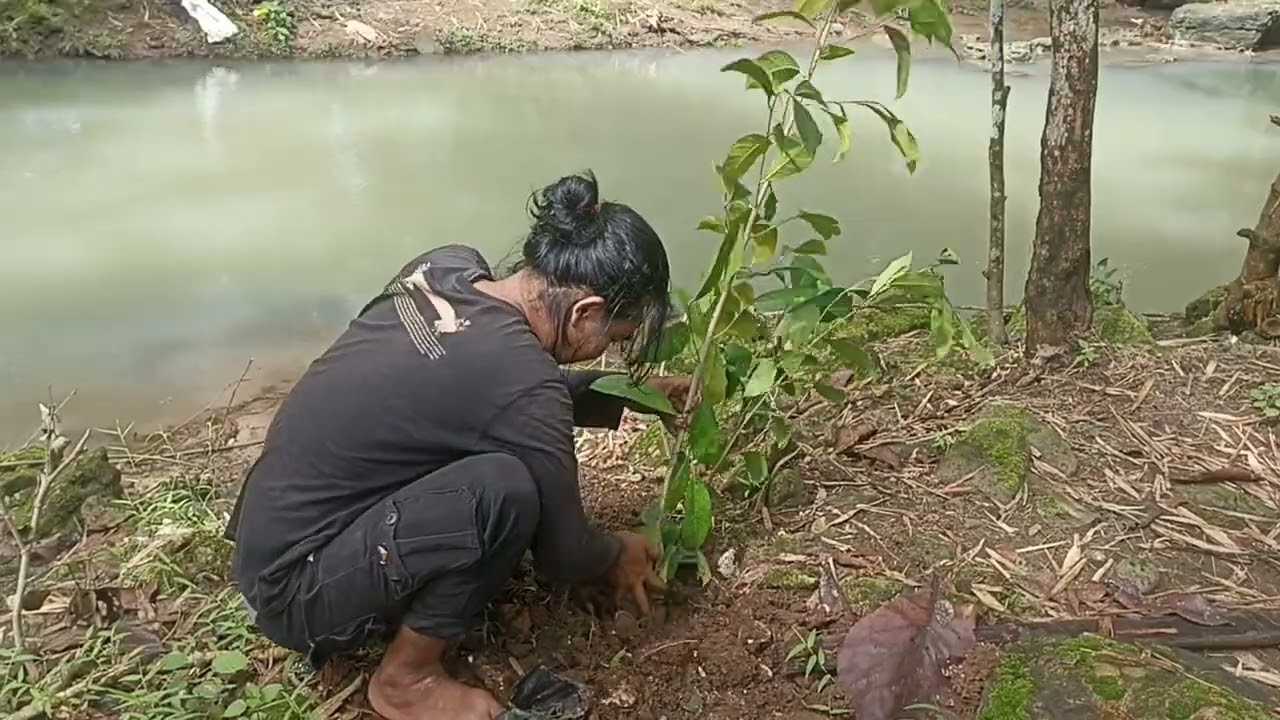 Menanam Pohon Penjaga Tanah dan Air di Kali Sabarudin