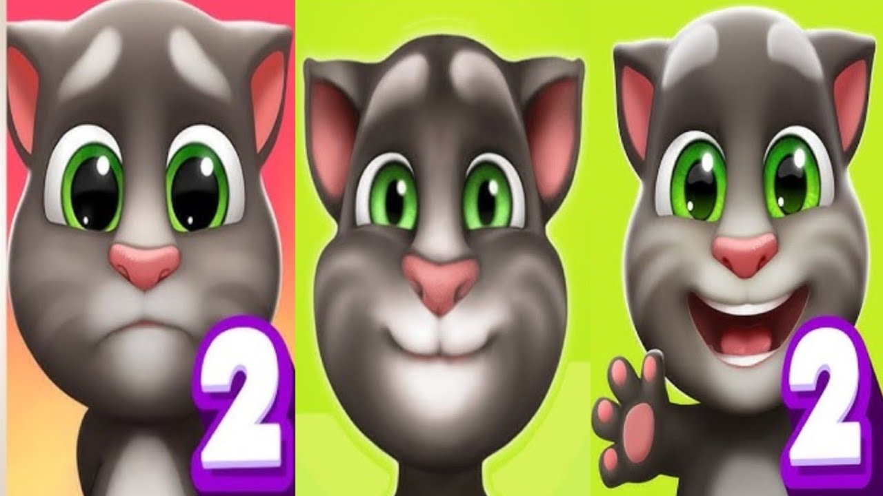 Tom 2 😚© cat vs my talking tom vs the tom cat 